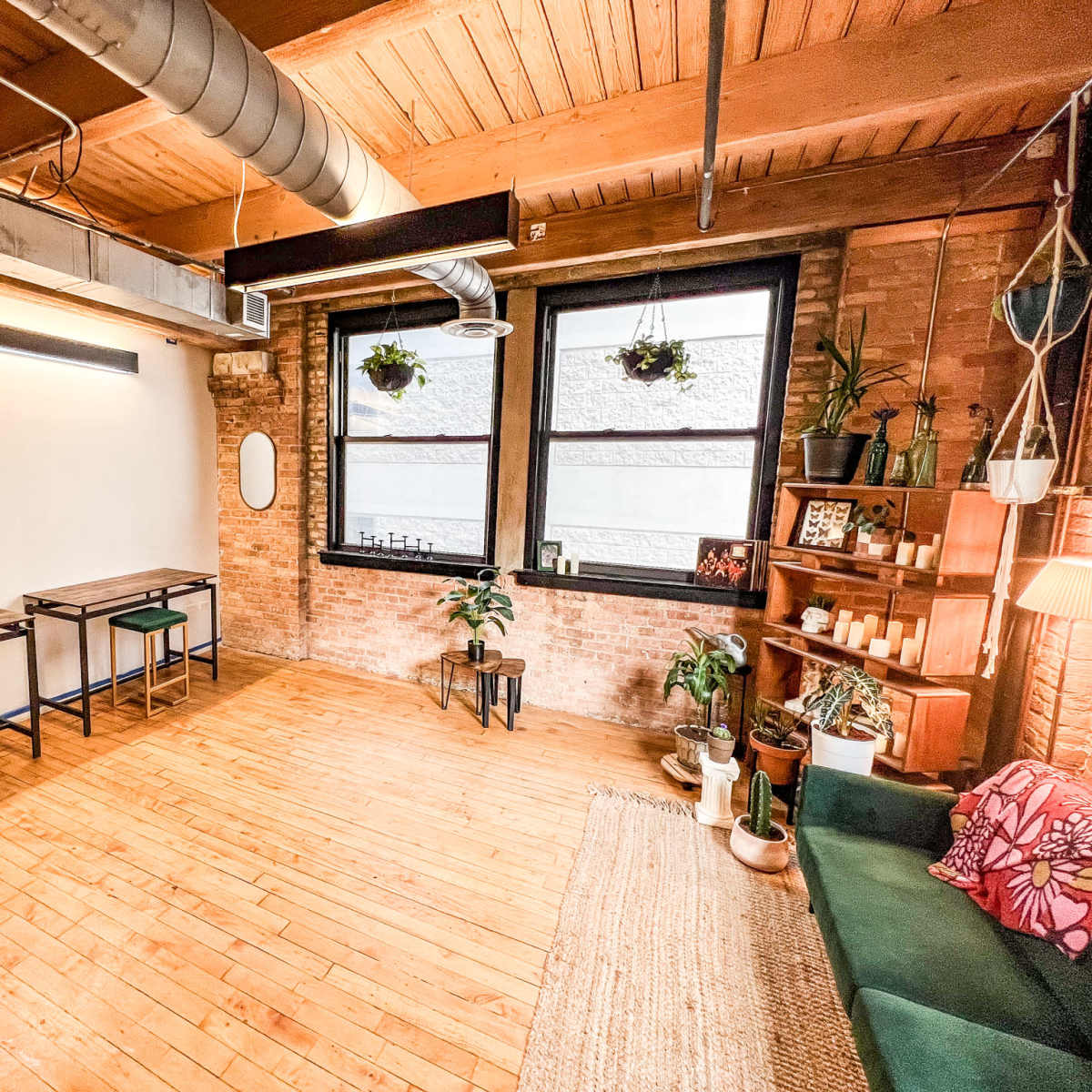Sunbathed Urban Jungle Green Room for Interviews, Podcasting, Content Creation and Photo Studio in River North in Chicago Image in Near North Side, Chicago, IL