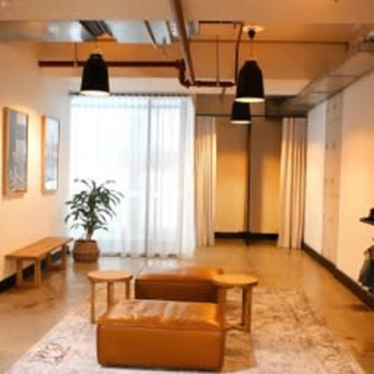 A spacious room with a light-colored rug, two wooden benches, a leather ottoman, a potted plant, and large windows draped with sheer curtains.