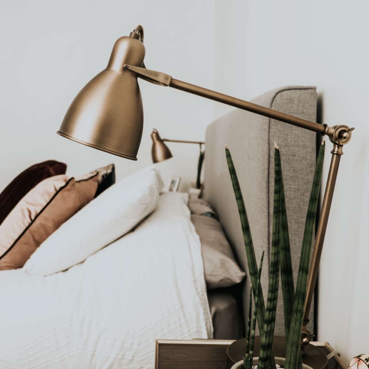 A neatly made bed with decorative pillows is illuminated by a modern brass lamp beside a tall plant.