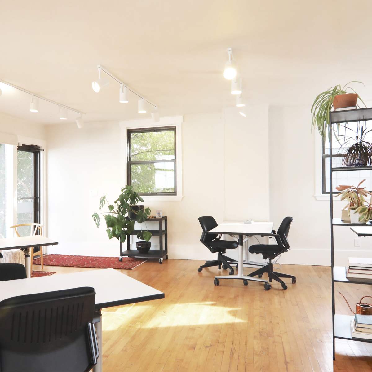 A bright, modern office space with wooden floors, several workstations, and large windows allowing natural light to enter.