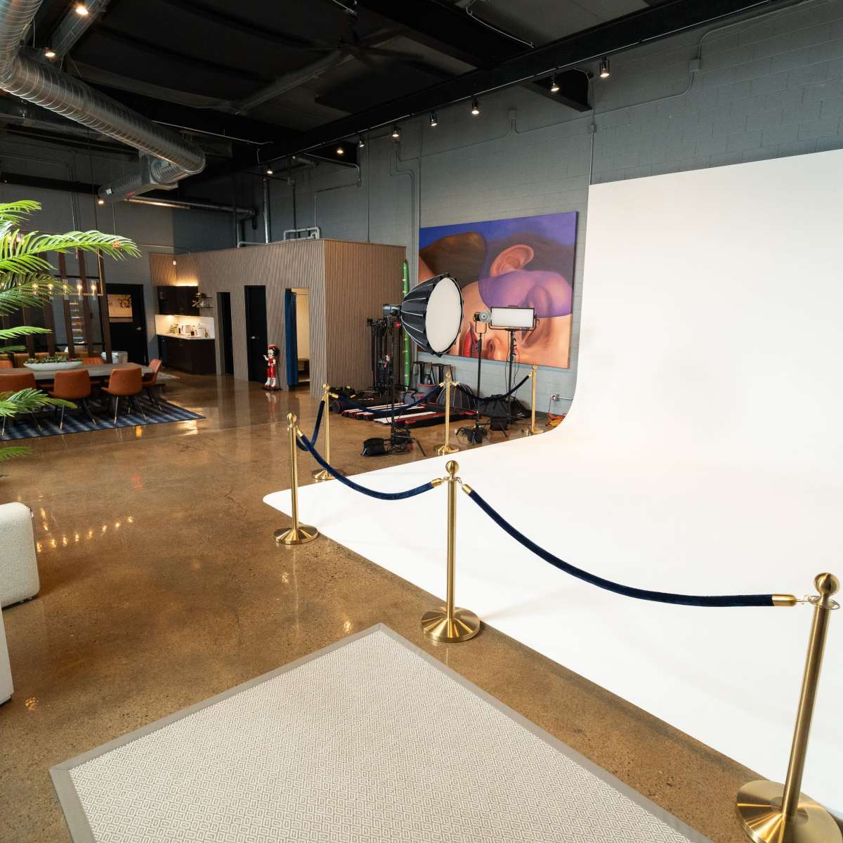 A spacious studio featuring a white backdrop, camera equipment, and modern furnishings including chairs and plants.