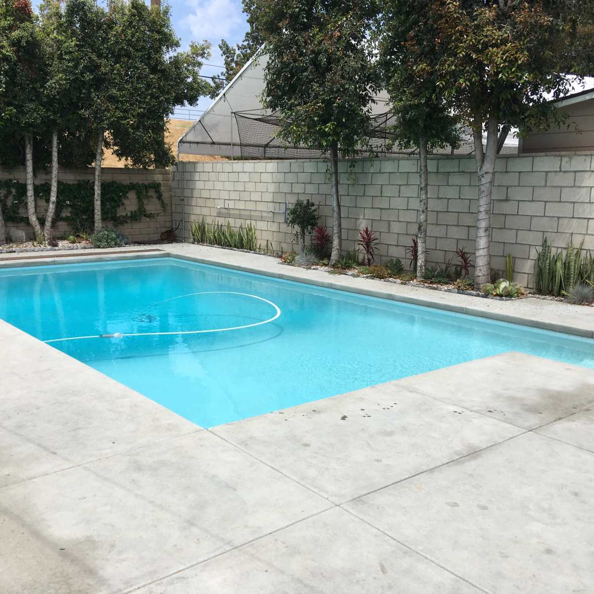 A clean swimming pool surrounded by a concrete patio and landscaping with shrubs and trees.