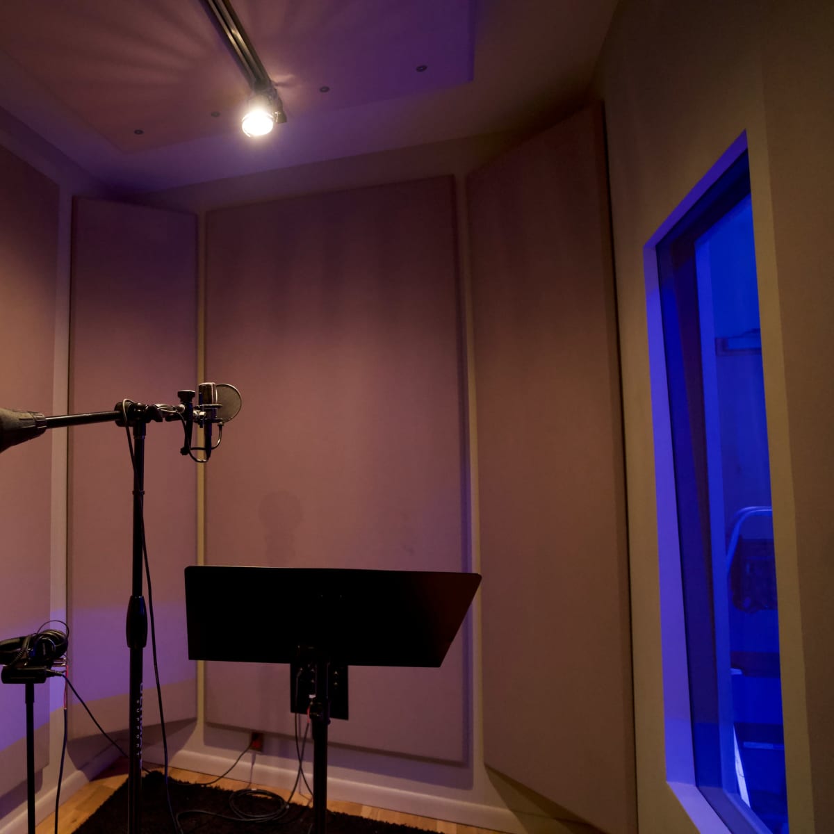 A recording studio vocal booth with two microphones and a music stand under a single overhead light.