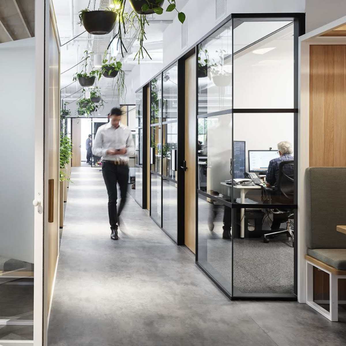 A modern office interior features glass-walled meeting rooms, wooden accents, and plants hanging from the ceiling, with employees engaged in work activities.
