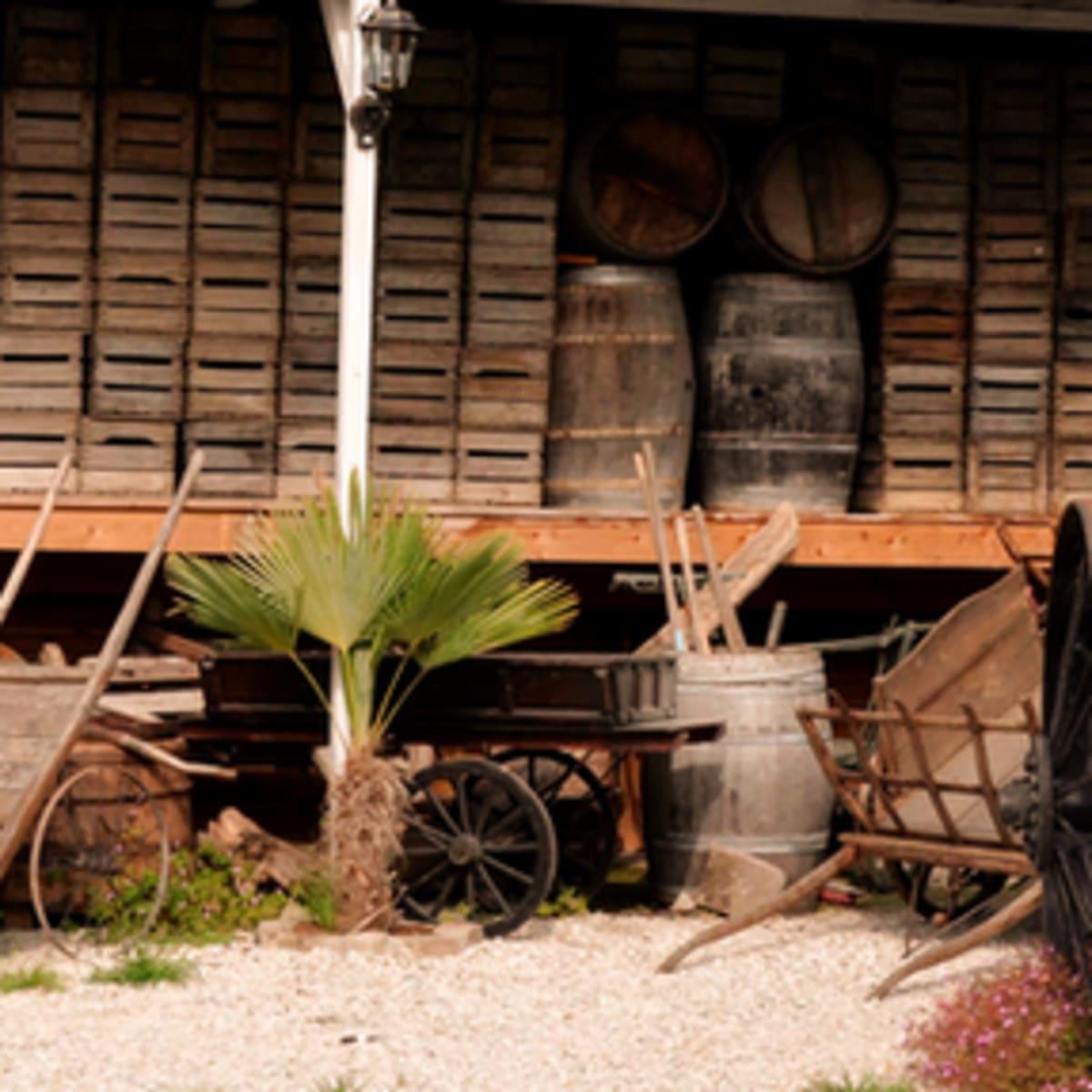 A collection of old farming equipment and barrels arranged near a large, rusted distillery in a rustic outdoor setting.
