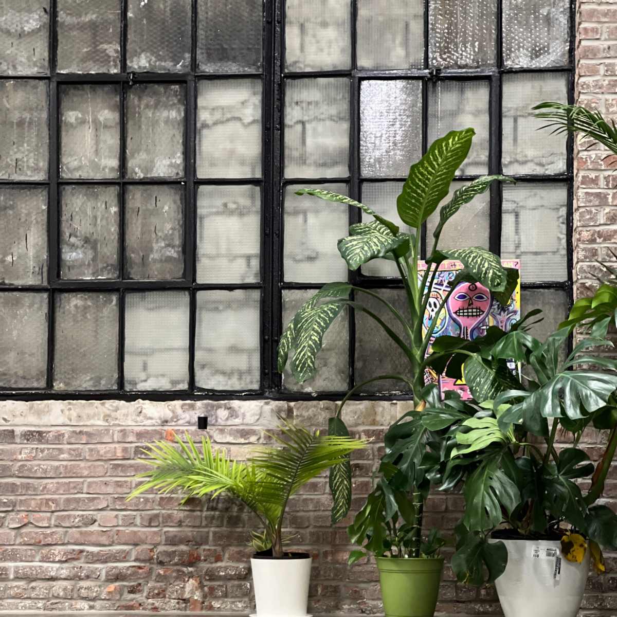 A yoga studio with exercise mats and blocks arranged neatly on a wooden floor, surrounded by several potted plants against a brick wall with large windows.