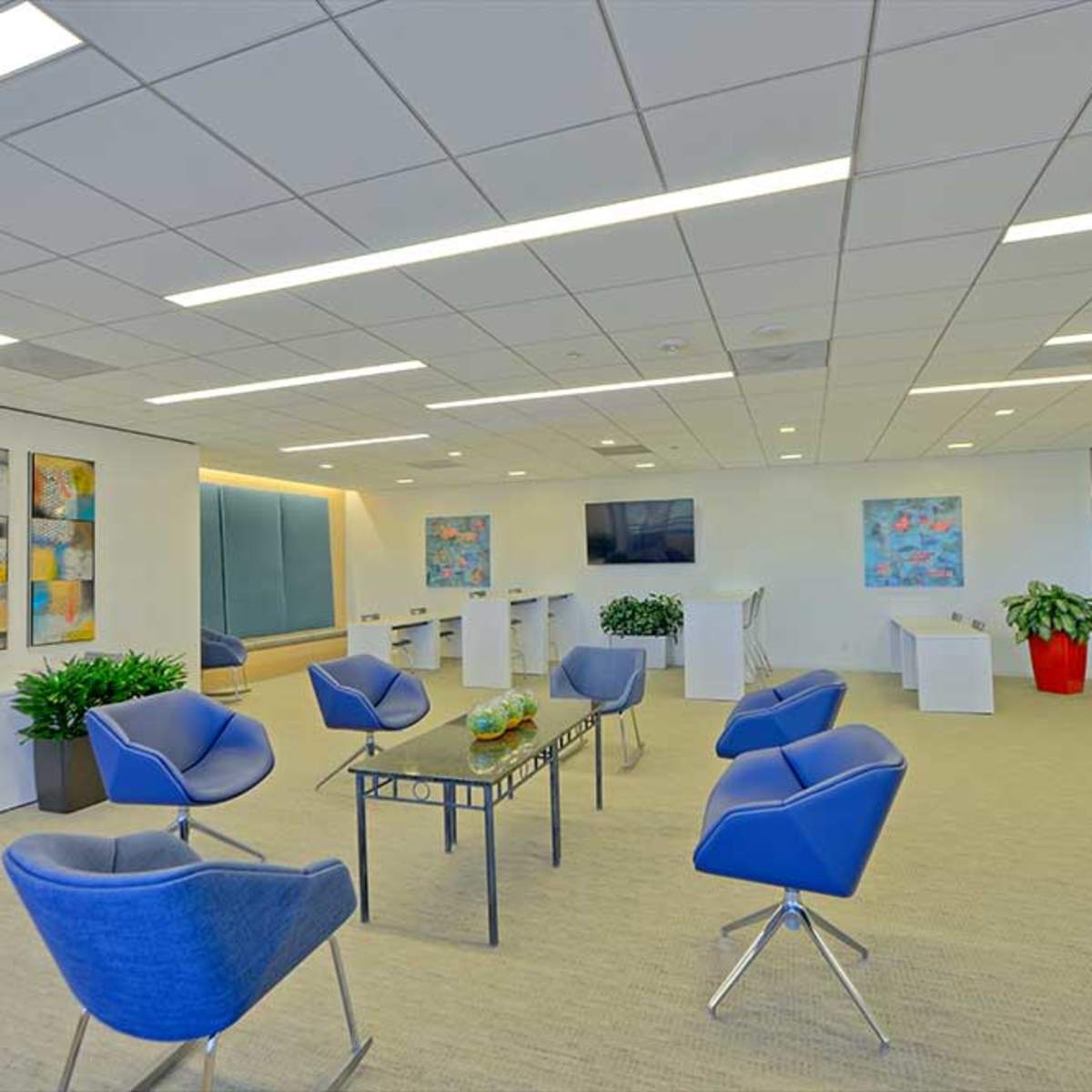 A modern office space furnished with blue chairs, a central table, potted plants, and colorful artwork on the walls.