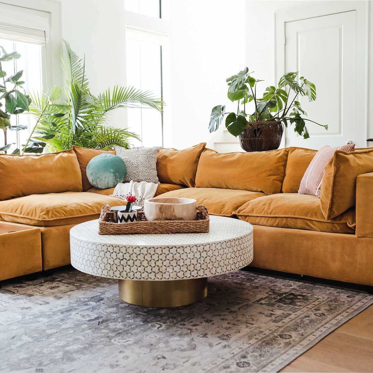 A modern living room featuring a large mustard-colored sectional sofa, a round coffee table, and several potted plants.
