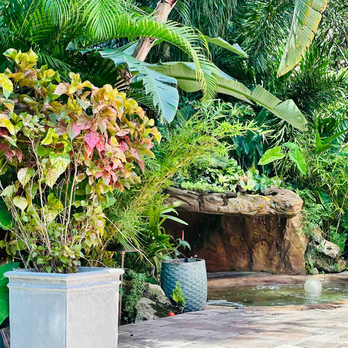 The scene features a tropical garden with lush greenery, a small waterfall, and a pond surrounded by various plants and decorative containers.