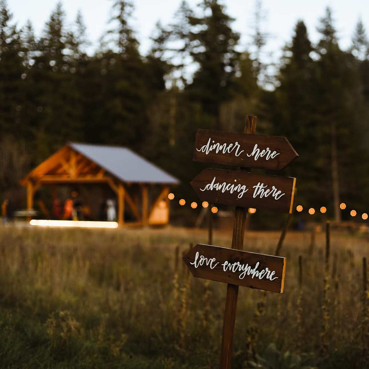 A wooden sign with directional arrows points to areas for dinner, dancing, and love, with a rustic pavilion and trees in the background.