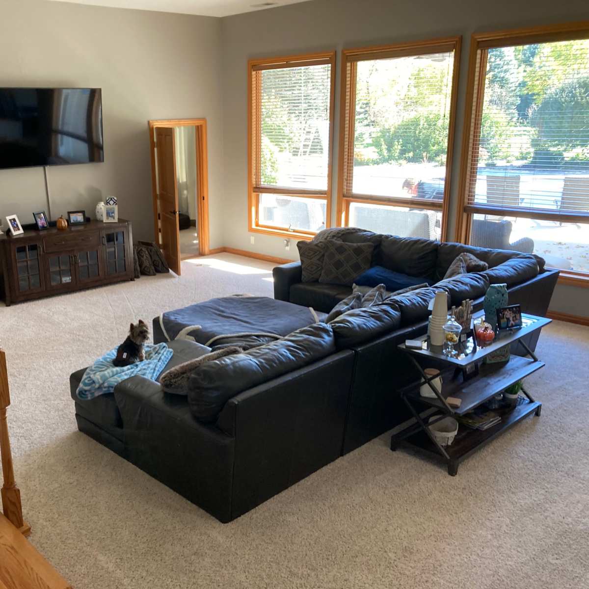 A spacious living room with a large sectional sofa, a coffee table, a television mounted on the wall, and windows illuminating the area.
