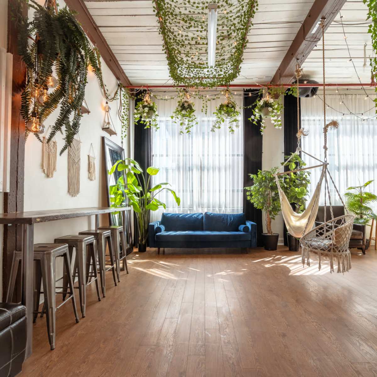 A spacious room with wooden flooring, a blue couch, several plants hanging from the ceiling, and a hammock.