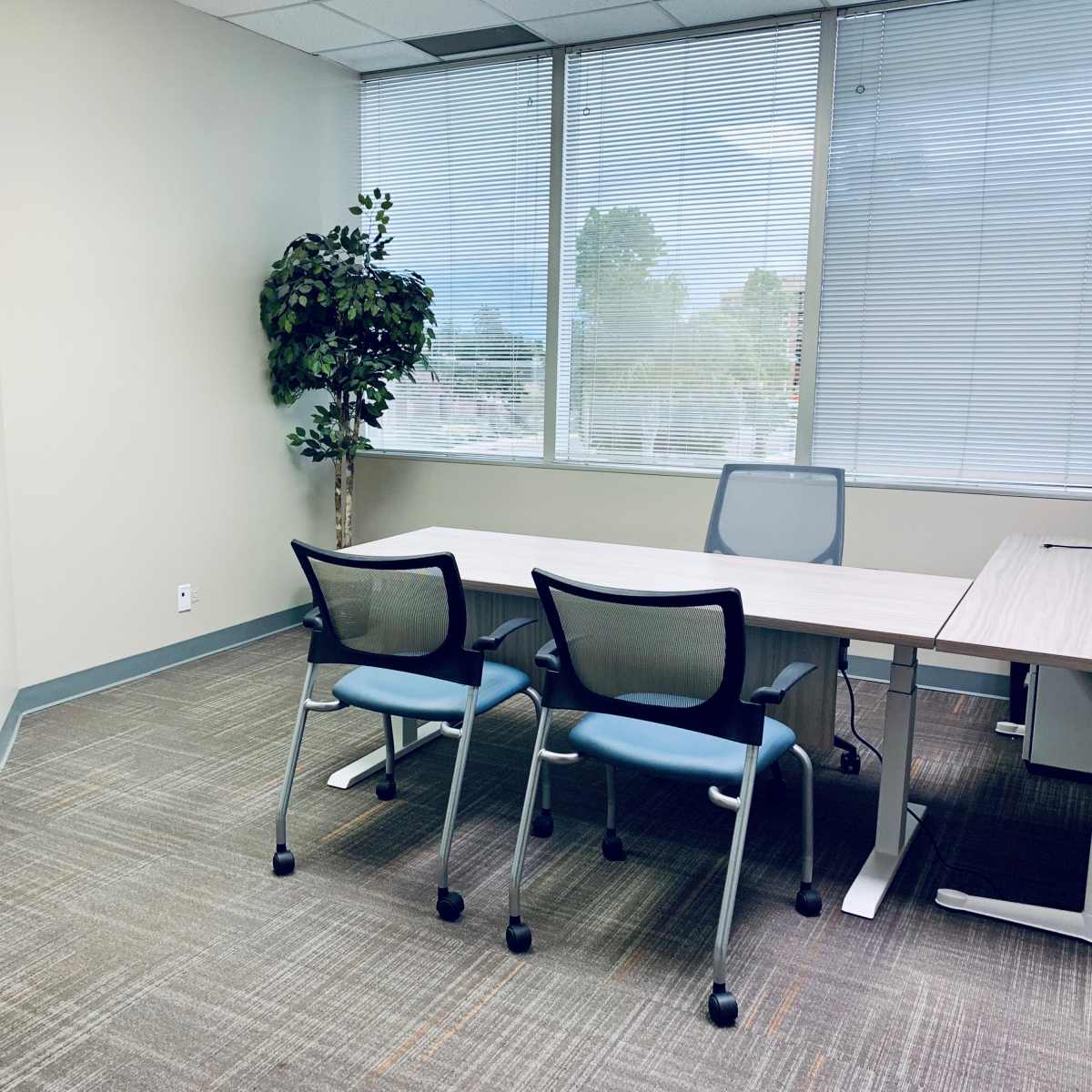 A simple office space with a desk, two chairs, a phone, and a potted plant near large windows.