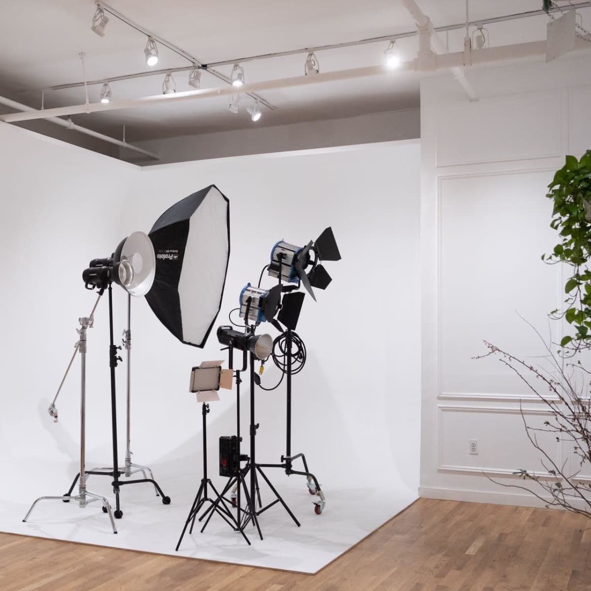 A photography studio setup featuring a curved white backdrop and multiple lighting equipment arranged neatly.