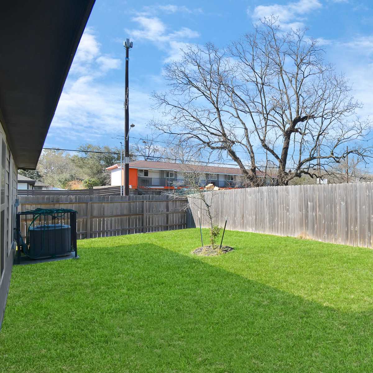 A grassy backyard enclosed by a wooden fence, with a small tree and a storage unit in one corner.