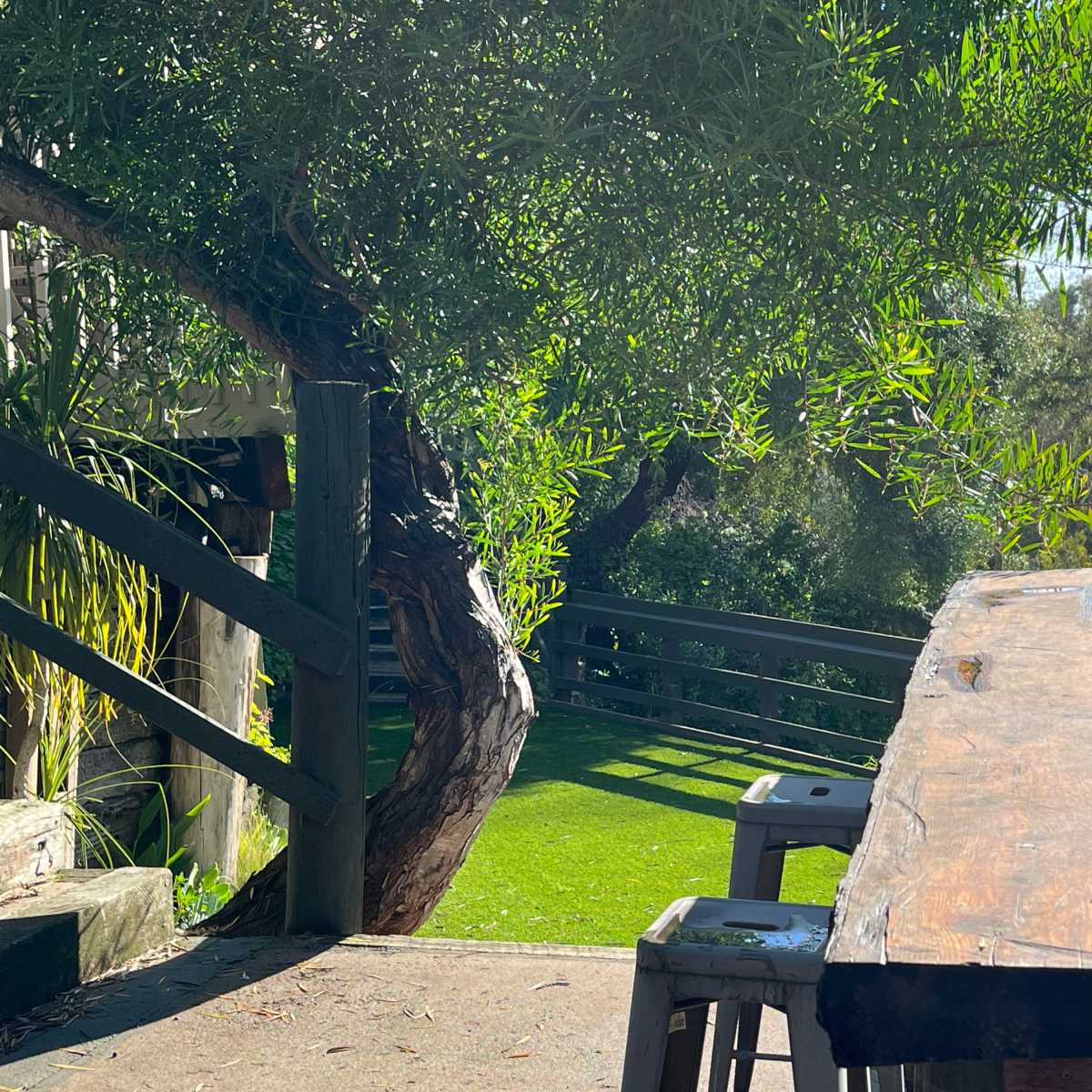 A wooden bench overlooks a landscaped area with greenery and trees.