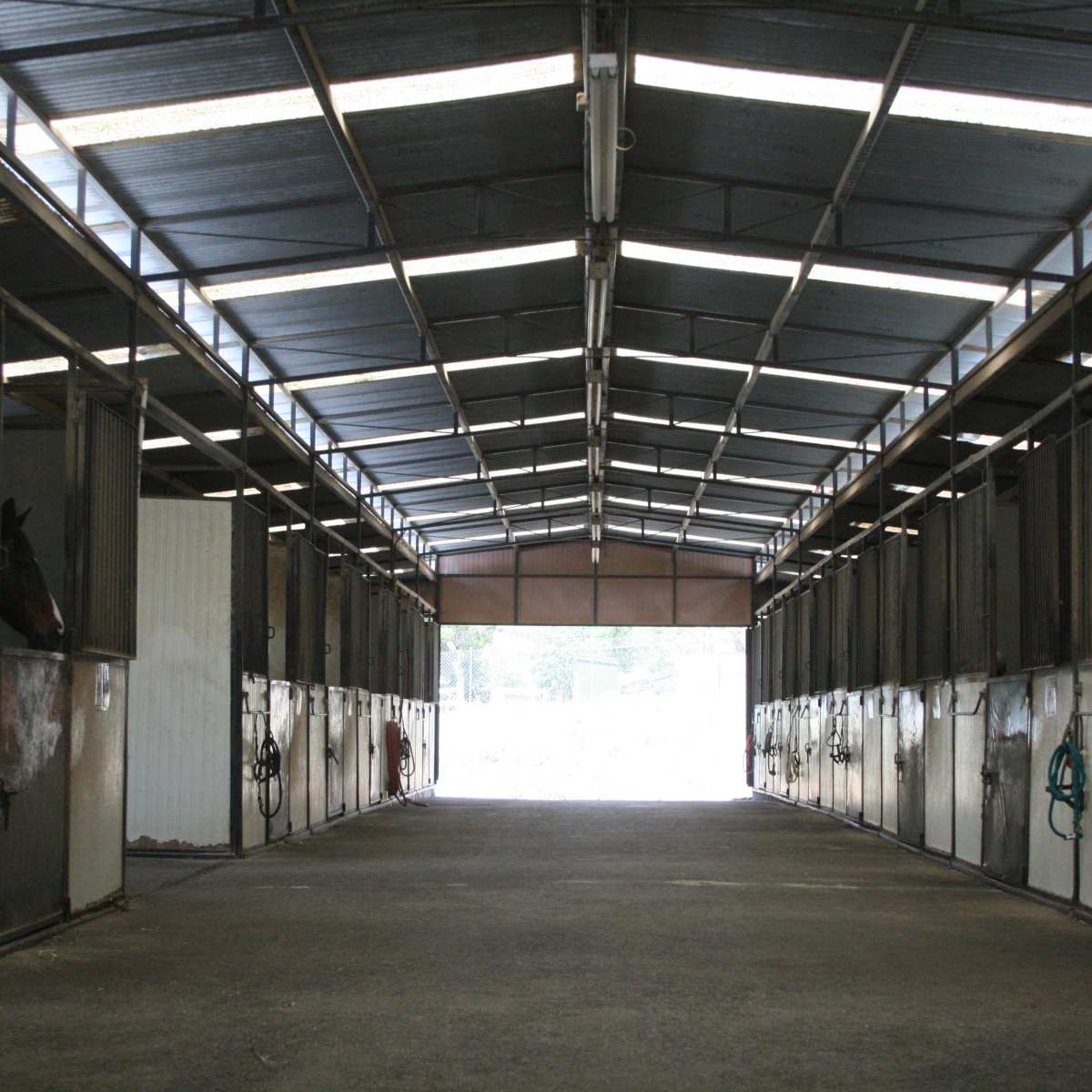 The interior of a horse stable with several stalls lining either side of a central aisle leading to an open entrance.