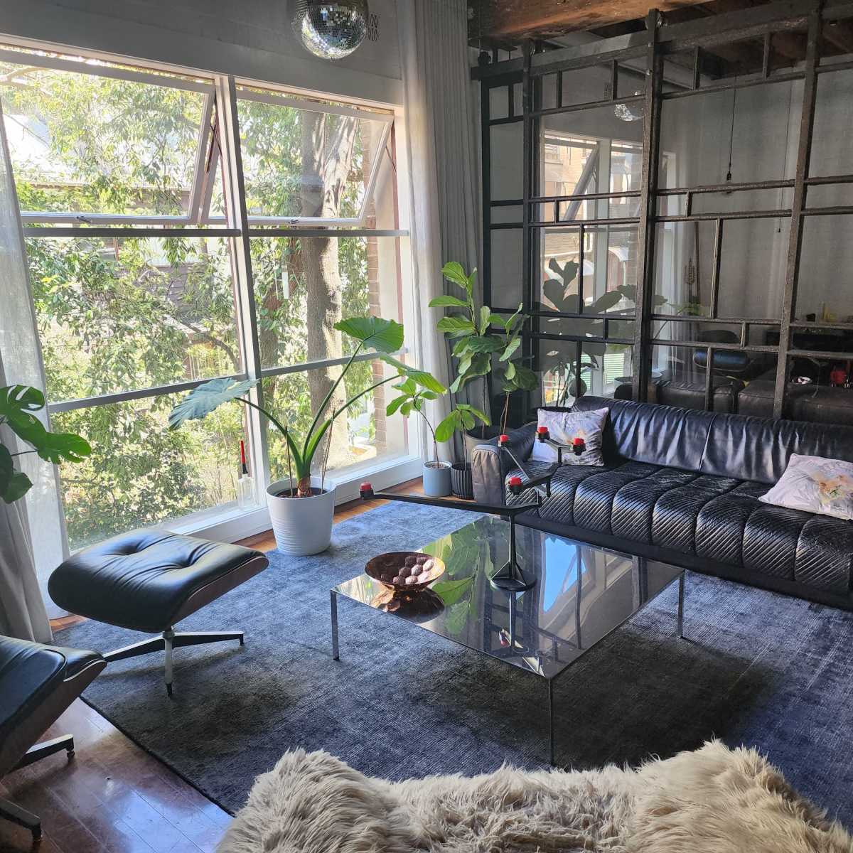 A modern living room features a large window with greenery outside, a black leather sofa, a glass coffee table, and several potted plants.