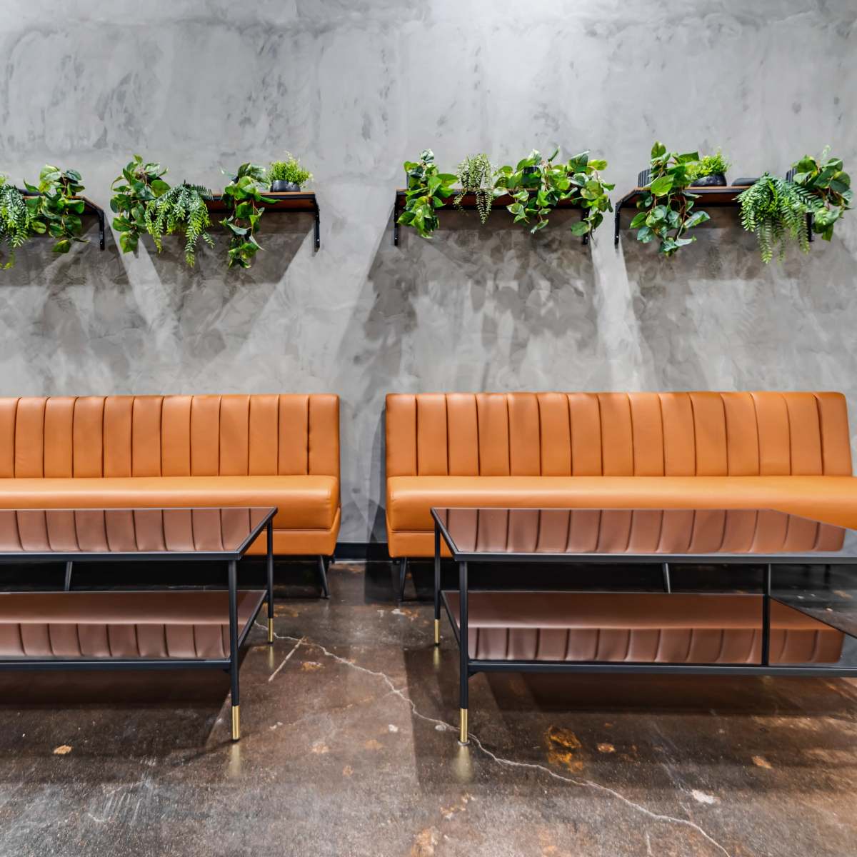 Two brown leather sofas paired with glass-top coffee tables against a textured gray wall adorned with green plants on shelves.