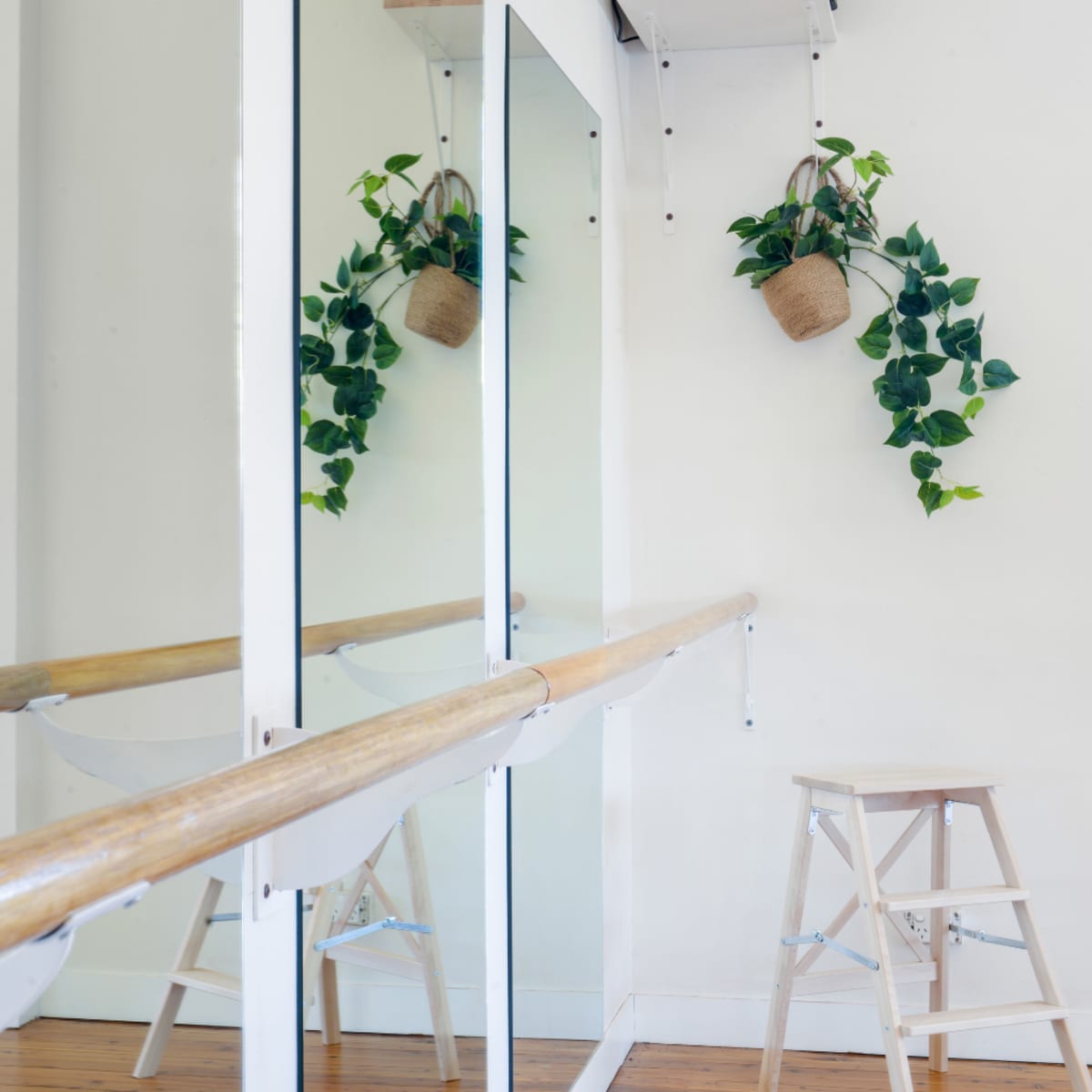 A bright ballet studio with a mirrored wall, a wooden barre, and a potted plant hanging beside the mirrors.