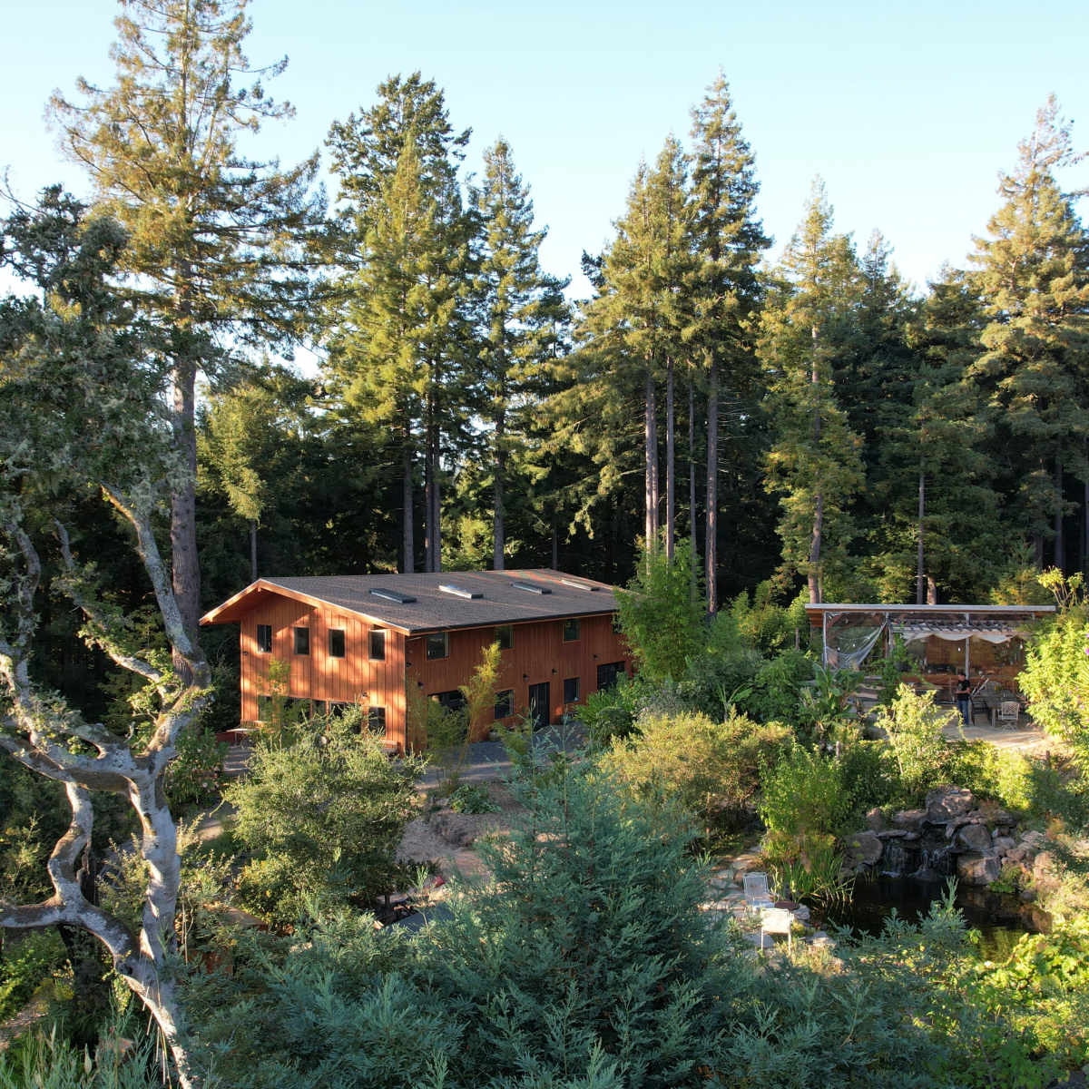 A wooden house surrounded by tall trees and greenery, with a stone patio and garden area nearby.