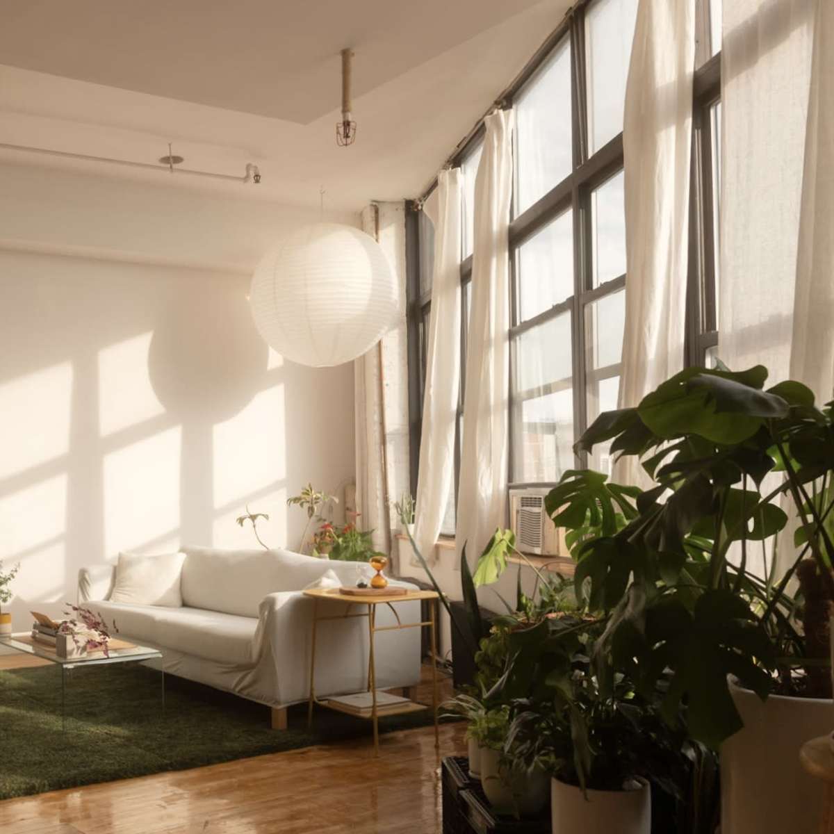 A bright living room features a white sofa, a green rug, and large windows allowing sunlight to stream in, with various plants placed around the space.