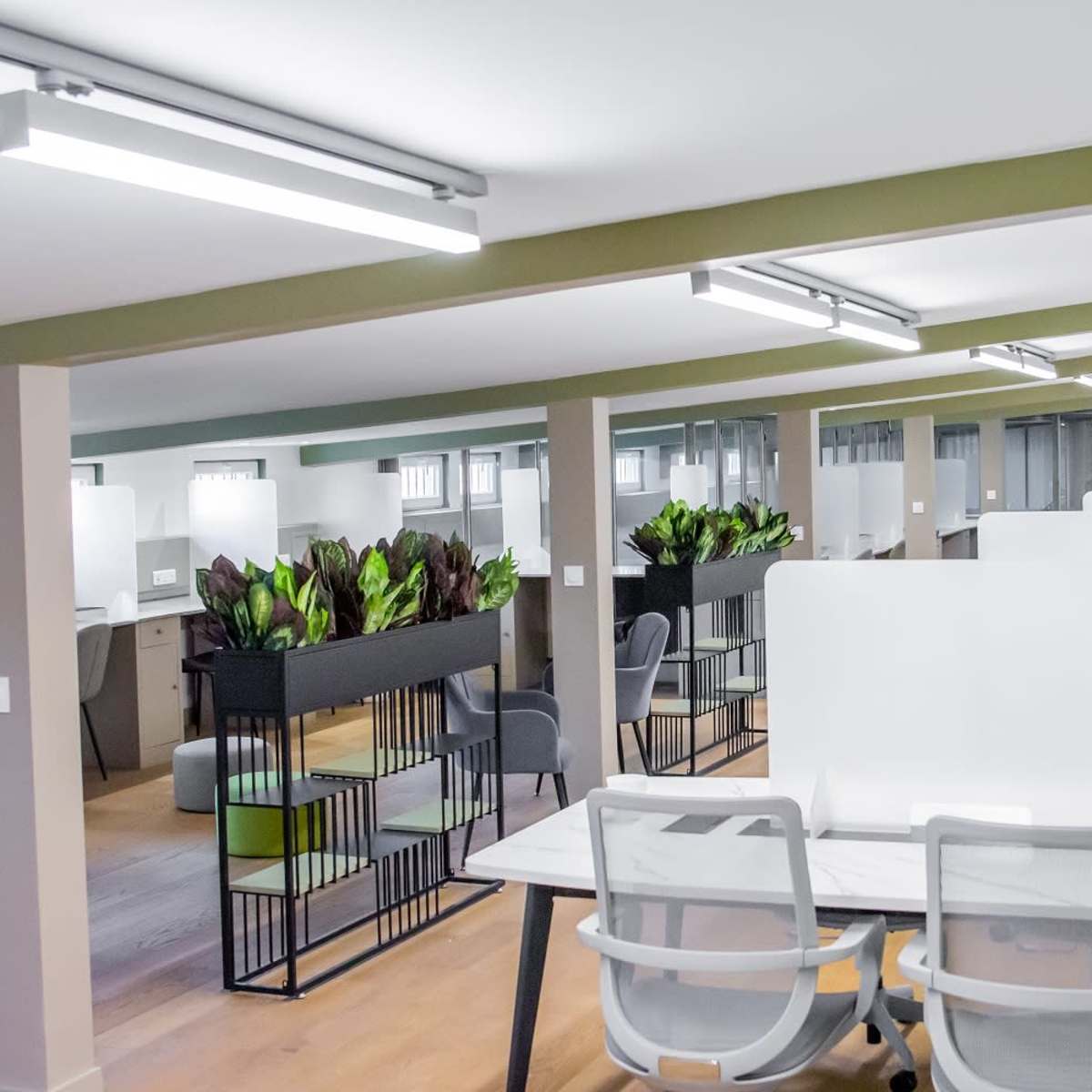 A modern office space with a series of desks separated by plant-filled dividers.
