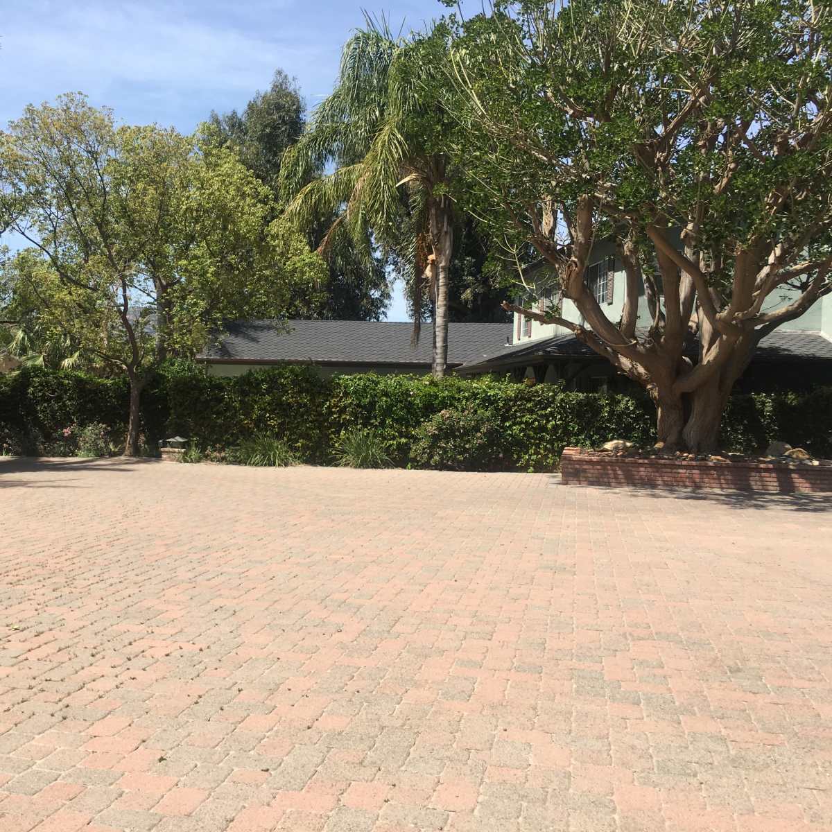 A paved outdoor area surrounded by trees and greenery, with a house visible in the background.