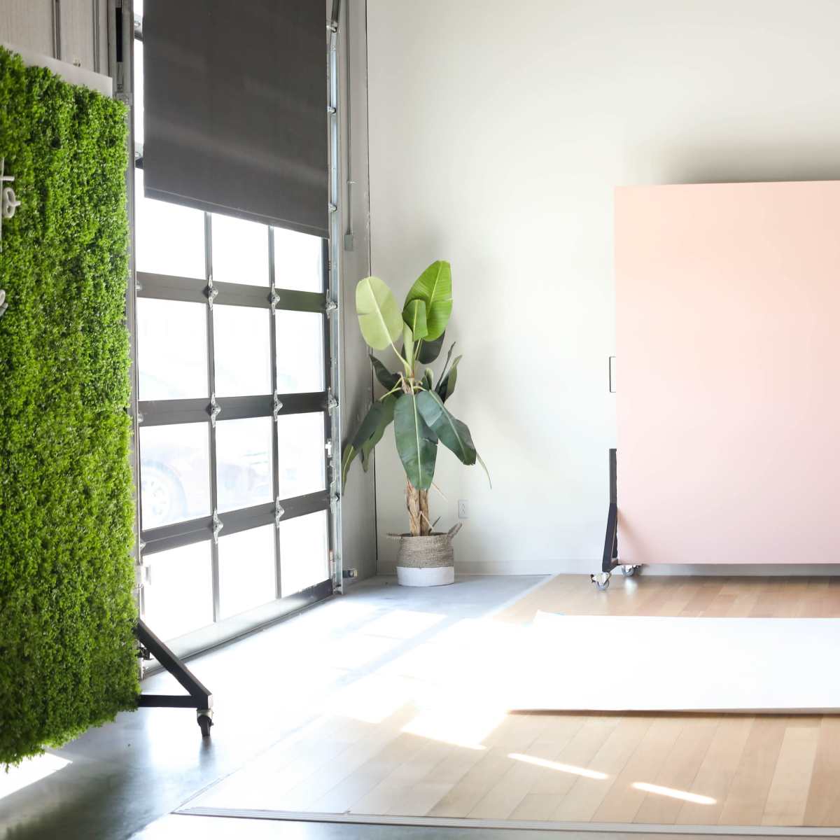 An interior space featuring a large pink backdrop, a potted plant, and a white floor mat, with natural light entering through a large garage door.