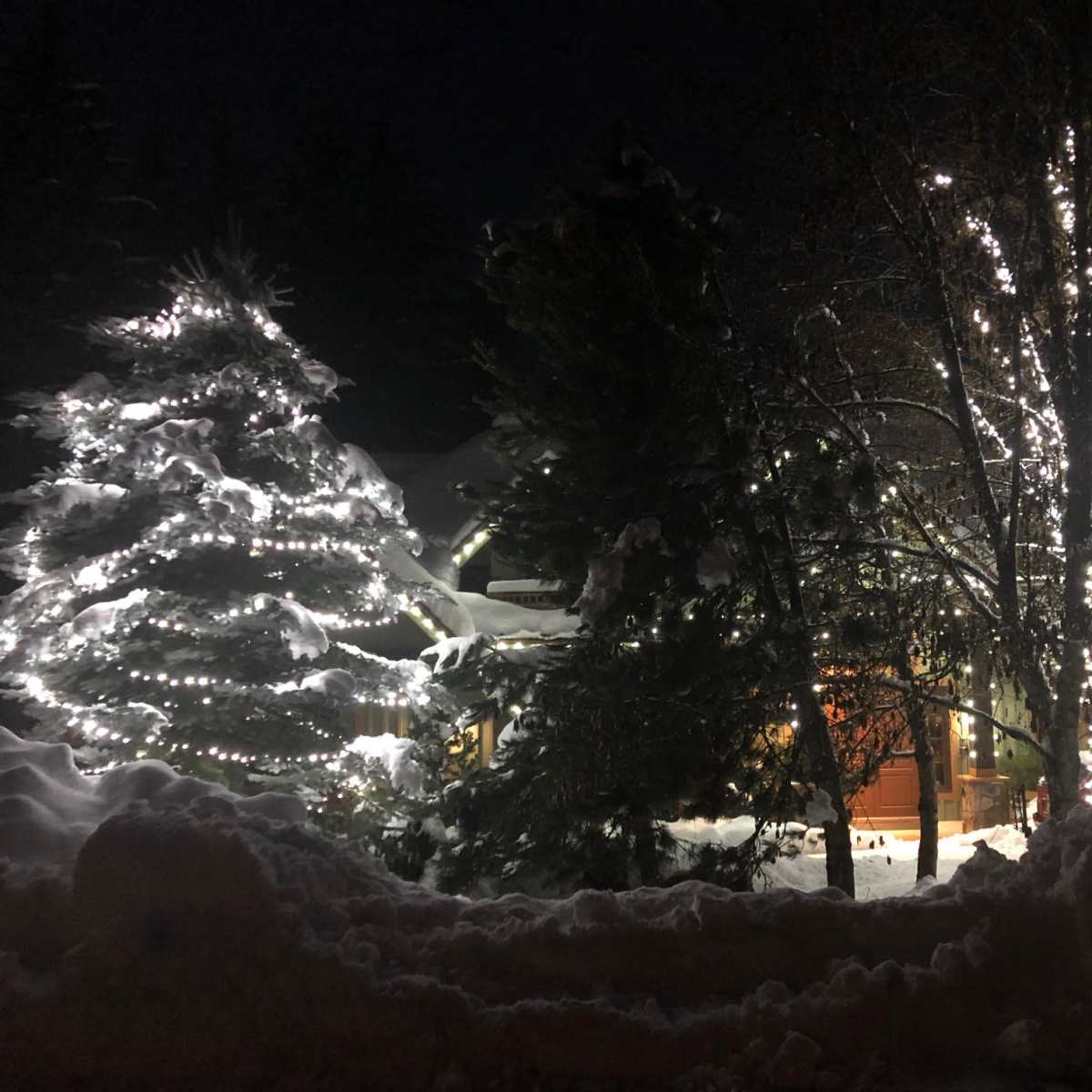 A house decorated with lights is surrounded by snow-covered trees on a dark winter night.