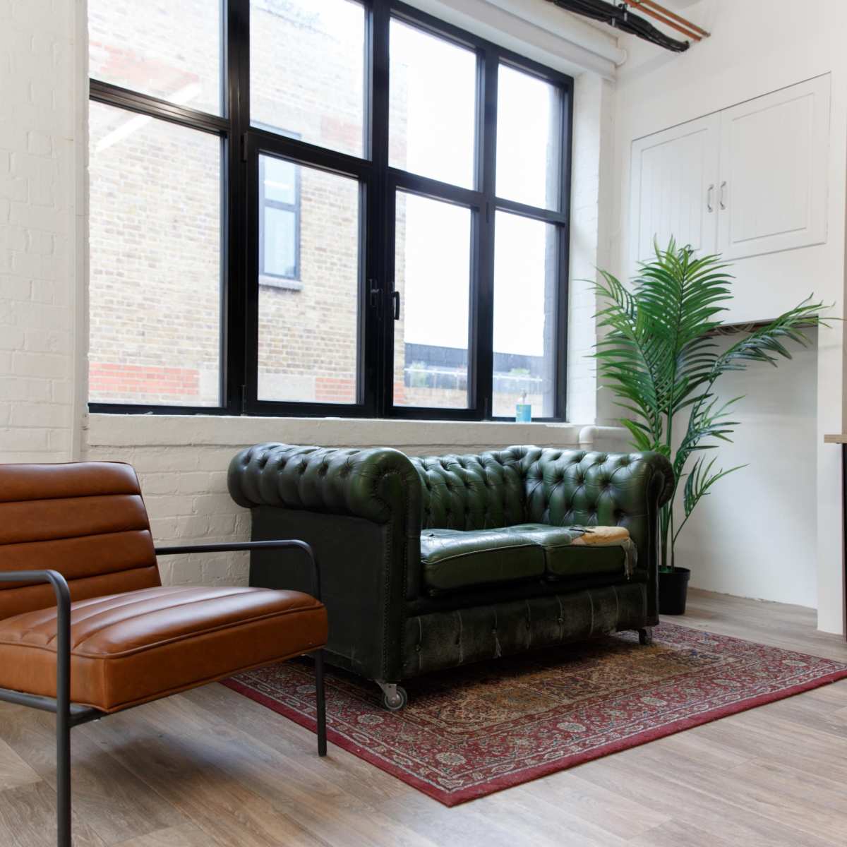 A modern room featuring a green leather chesterfield sofa, a brown armchair, large windows, and a potted plant.