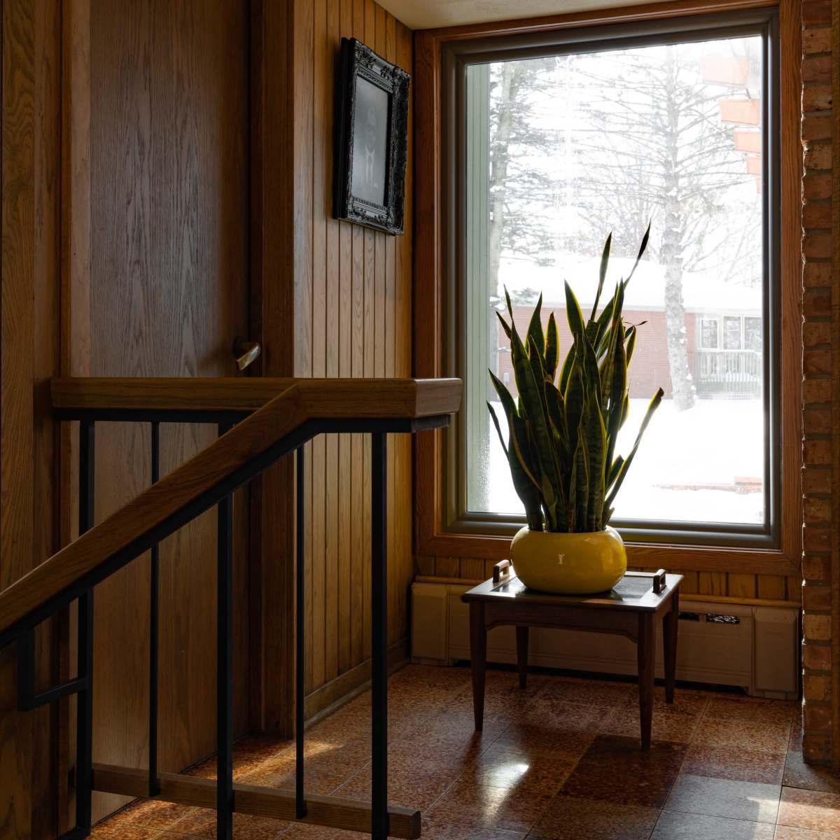 A staircase leading to a large window where a tall plant is placed on a small table in a wooden-paneled entryway.