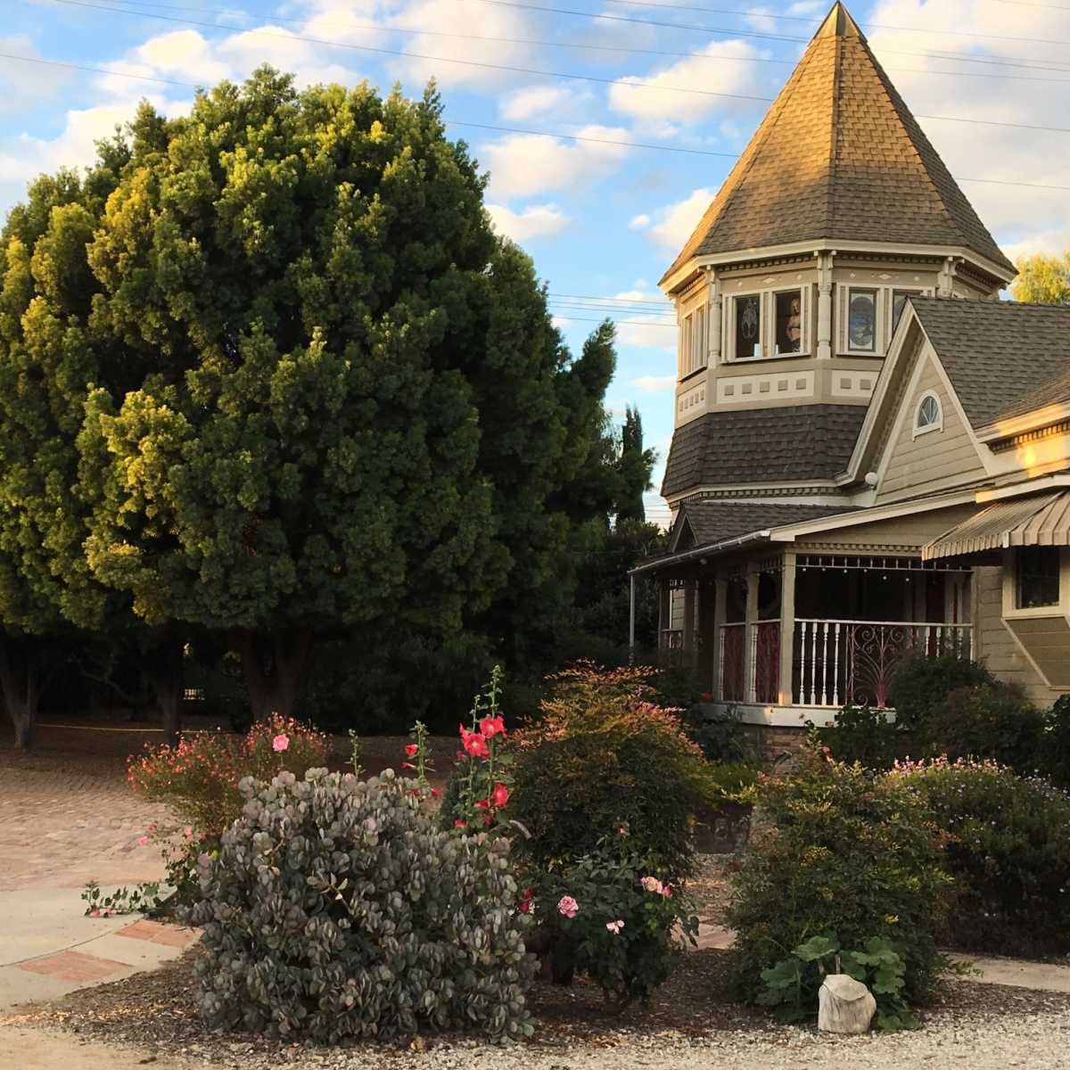 A large tree stands near a Victorian-style house with a turret, surrounded by flowering plants and a gravel driveway.