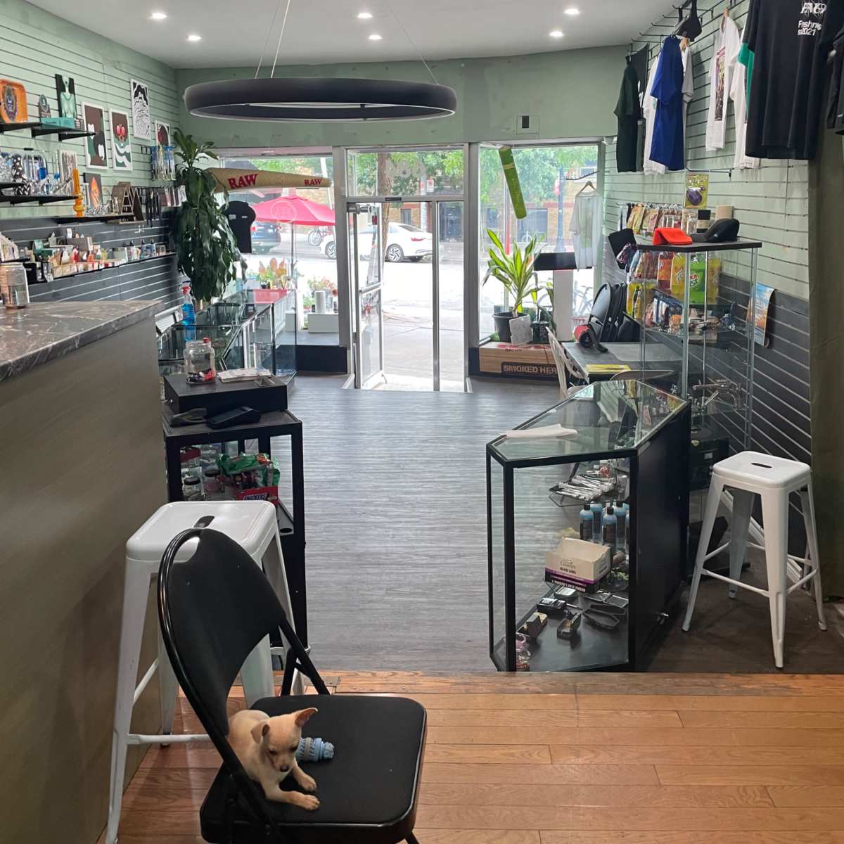 Downtown grungy store front with open concept in TORONTO Image in Palmerston - Little Italy, TORONTO, ON