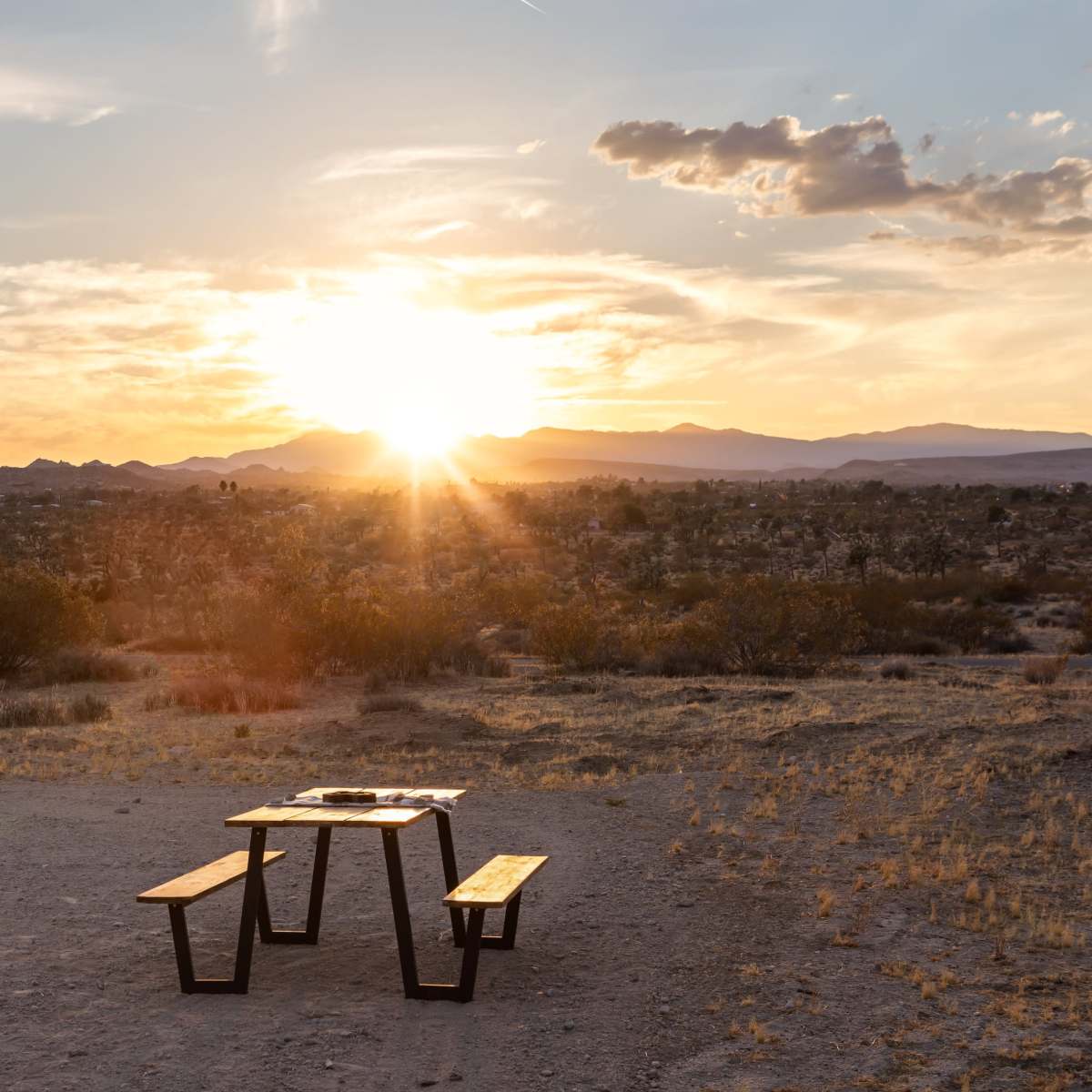 3D JT: 3D-Printed Tiny Homes w/ Spa & Pool in Yucca Valley Image in , Yucca Valley, CA