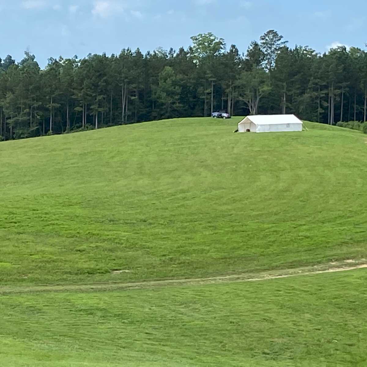 A white tent is set up on a grassy hillside, with a forest of trees in the background.