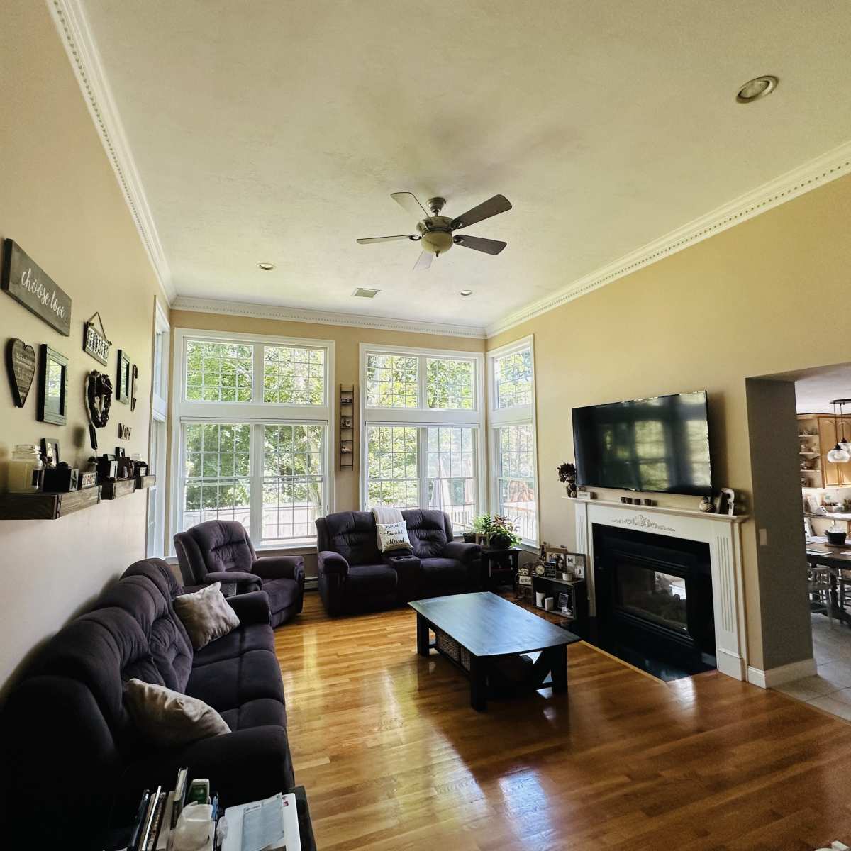 A spacious living room features large windows, a ceiling fan, a fireplace, and dark-colored seating arranged around a central coffee table.