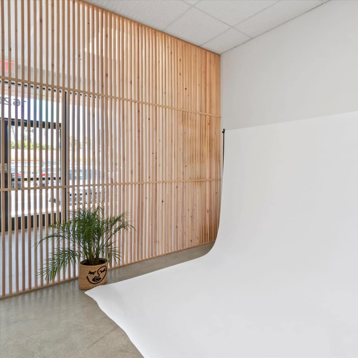 A bright, minimalistic interior with a white backdrop set against a wooden slatted wall and a potted plant in the corner.