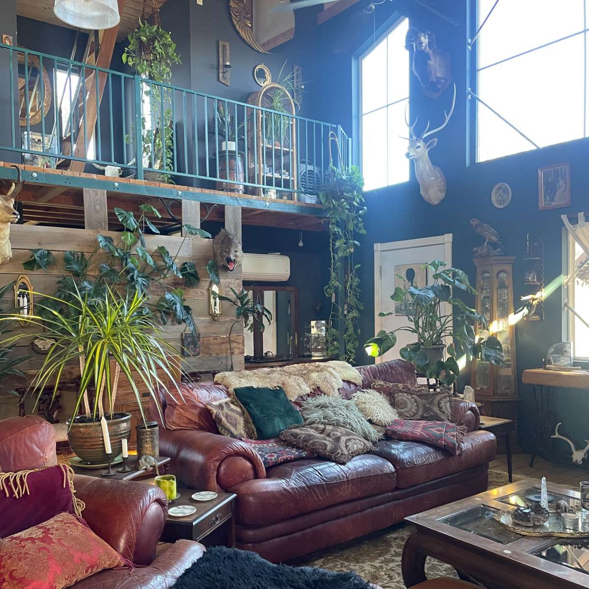 A spacious living room with large windows, lush plants, and a mix of leather sofas and wooden decor.