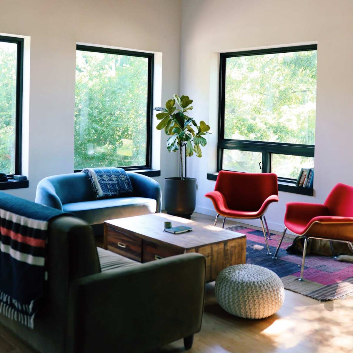 A bright living room features a blue sofa, red chairs, a wooden coffee table, and a large potted plant near large windows overlooking greenery.