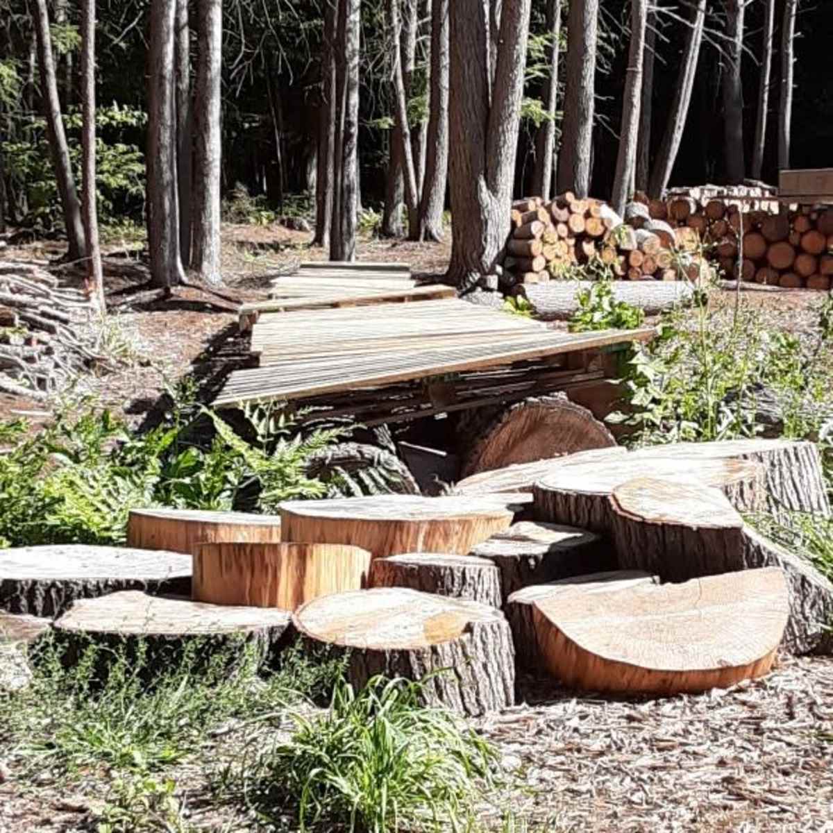A trail made of wooden planks leading through a forest area with cut tree stumps and stacked logs nearby.