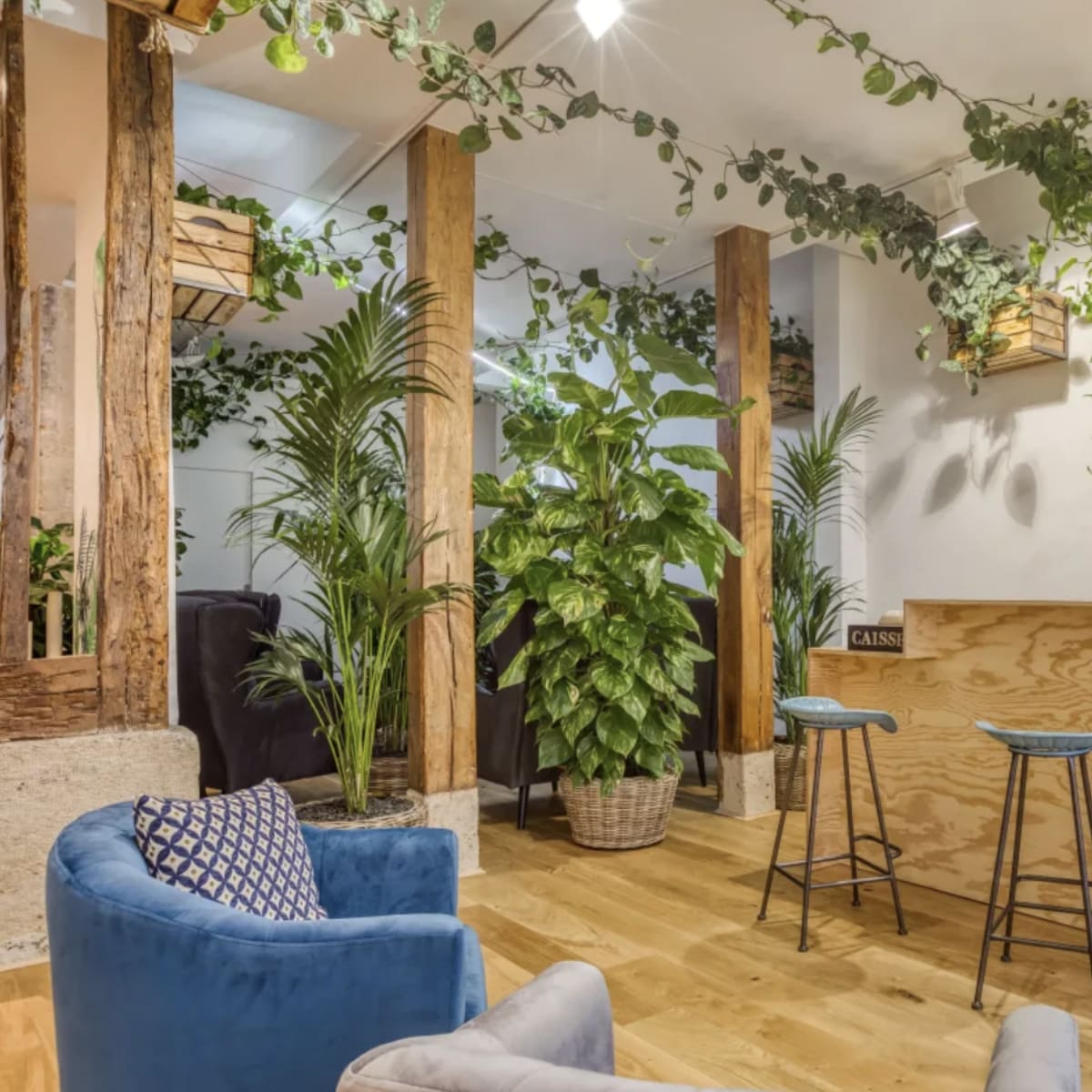 A modern interior space featuring a wooden bar with two stools, surrounded by lush greenery and plants, with wooden beams and a cozy seating area.