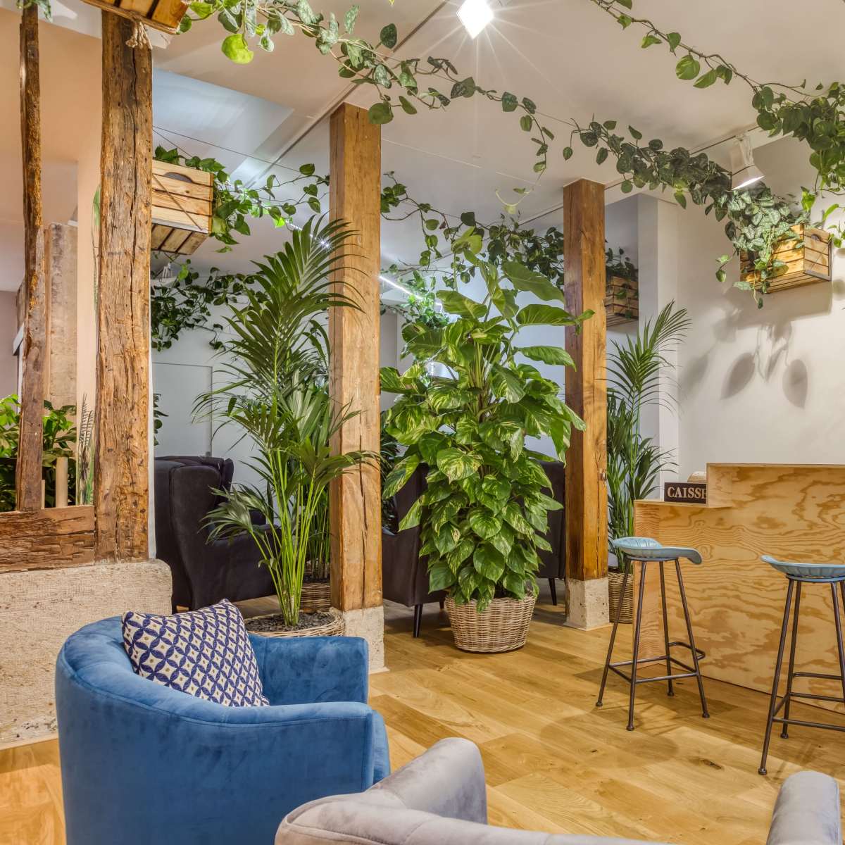 A cozy indoor space featuring wooden accents, various plants, and a small bar area with stools.