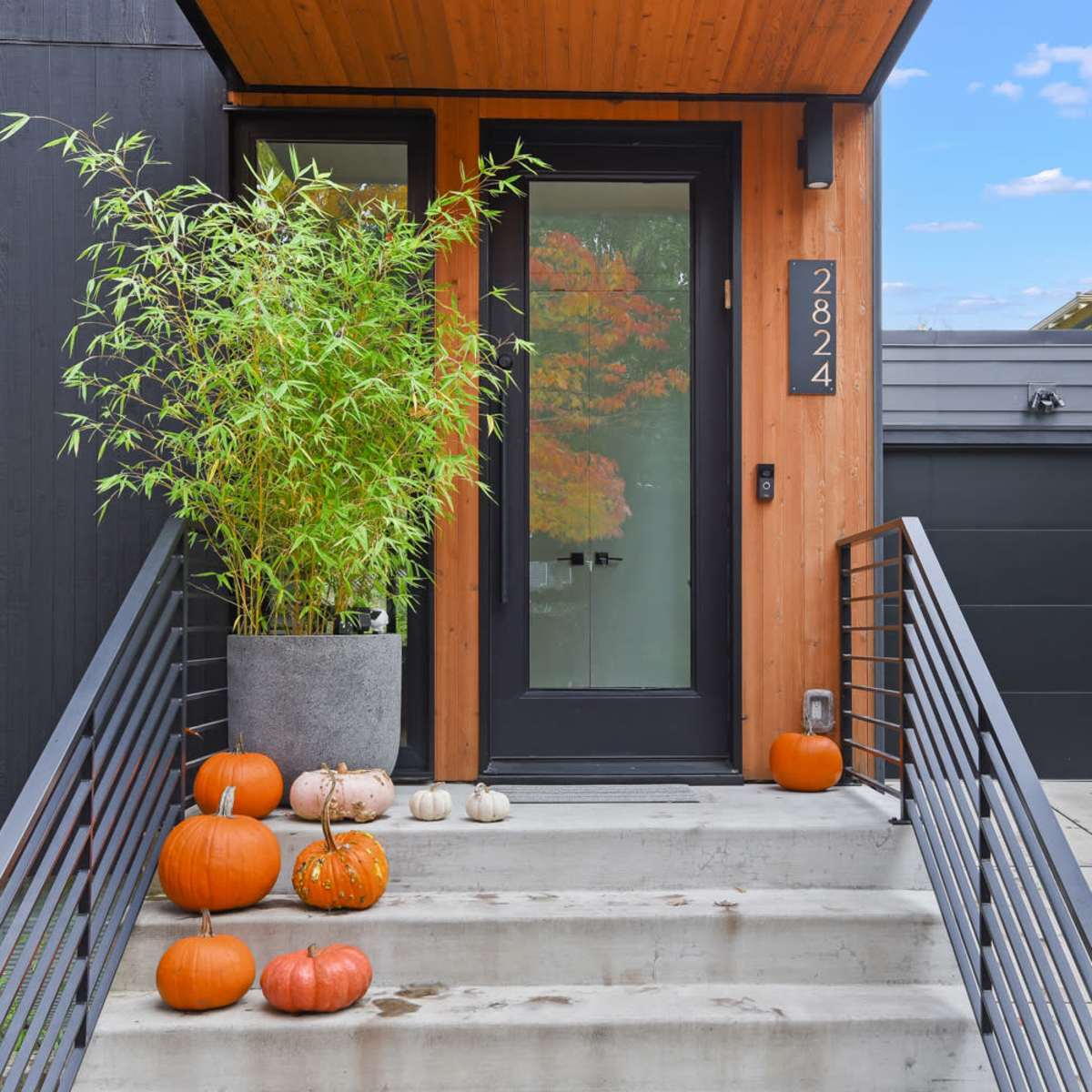 A modern home's entrance features a concrete porch with pumpkins arranged on the steps and a large planter with bamboo.