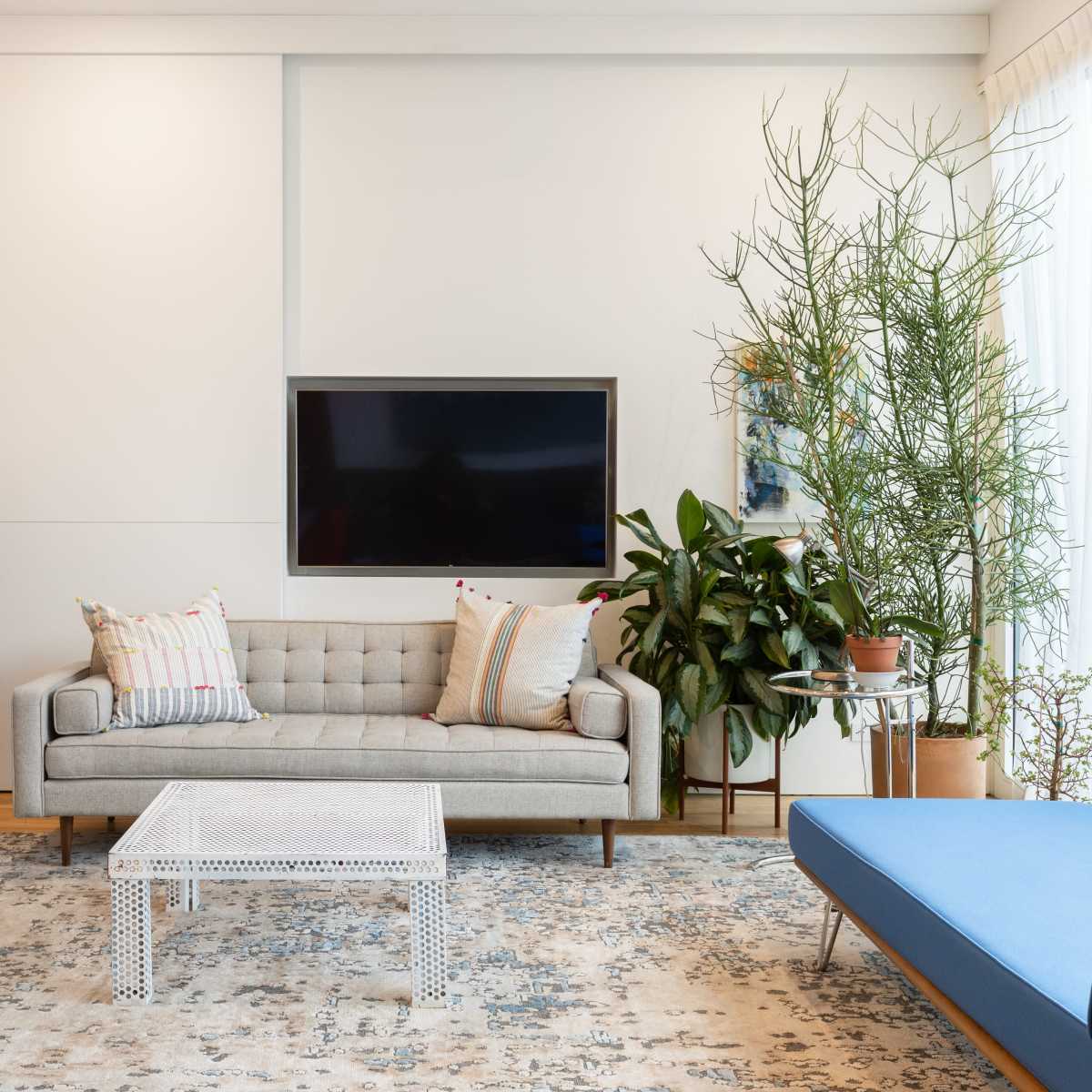 A living room features a gray sofa with patterned cushions, a blue lounge chair, a coffee table, a television mounted on the wall, and various indoor plants near a window.