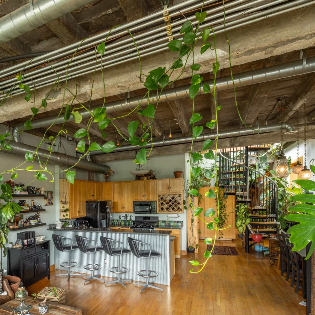 A spacious, loft-style living area with a kitchen, plants hanging from the ceiling, and a staircase leading to an upper level.