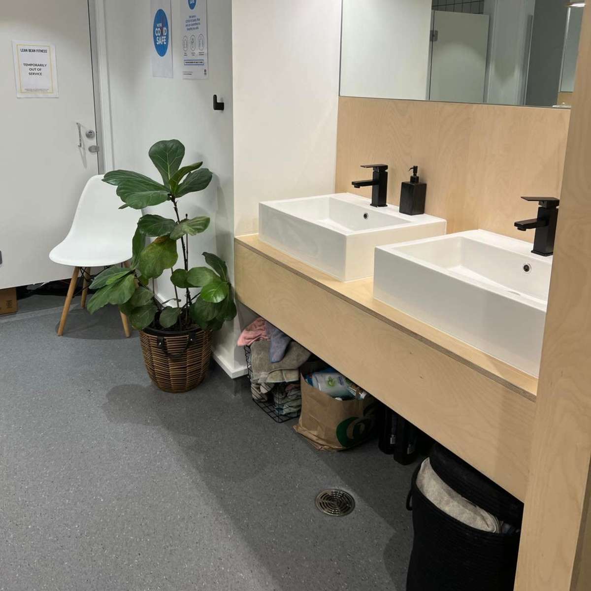 A modern bathroom with two white sinks, a potted plant, and a clear view of cabinets and a mirror above the sinks.
