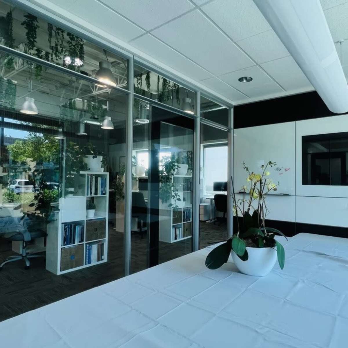 A modern office space with glass walls, a large table covered with a white tablecloth, and various plants positioned around the room.