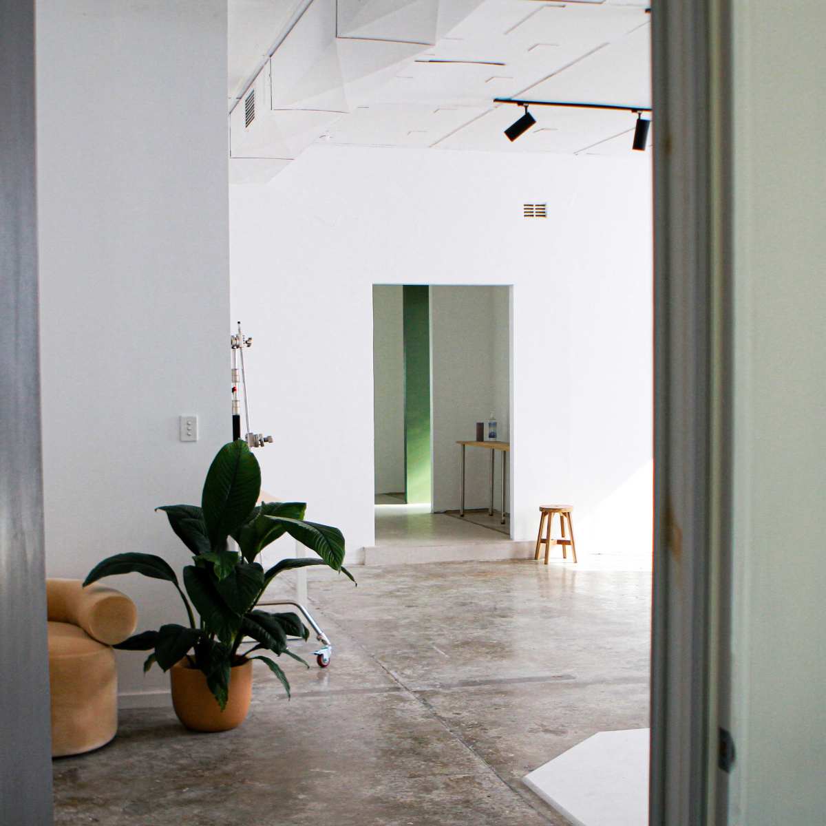 A spacious modern room with concrete floors, a green plant in a pot, and an open doorway leading to another area.
