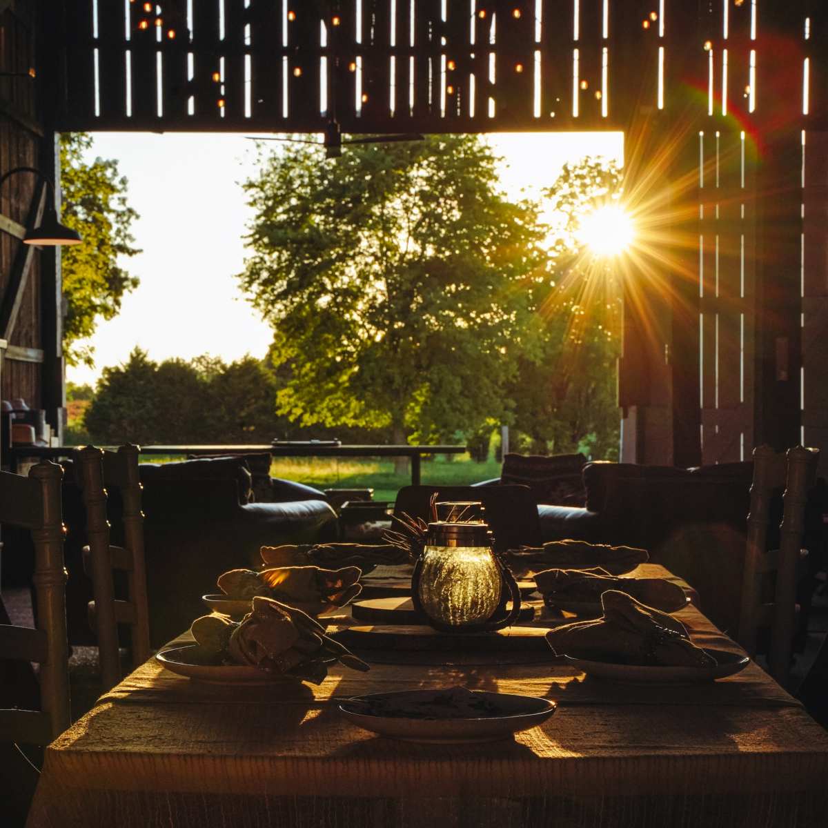 A beautifully set dining table is illuminated by sunlight streaming through an open barn door, with greenery visible in the background.